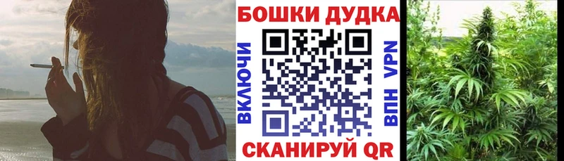 KRAKEN ONION  где купить наркоту  Сосногорск  Бошки марихуана планчик 